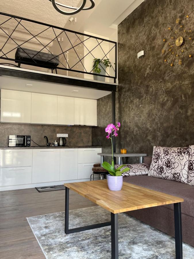 Radio City Loft Kaunas Buitenkant foto